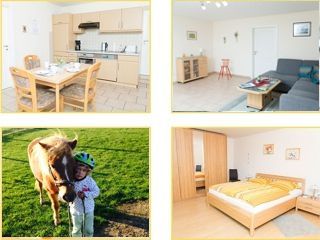 Bauernhof Holzdorf Ferienhof Ost picture 2
